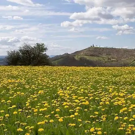Casa vacanze Au Calme Avec Superbe Vue : La Talonie *
